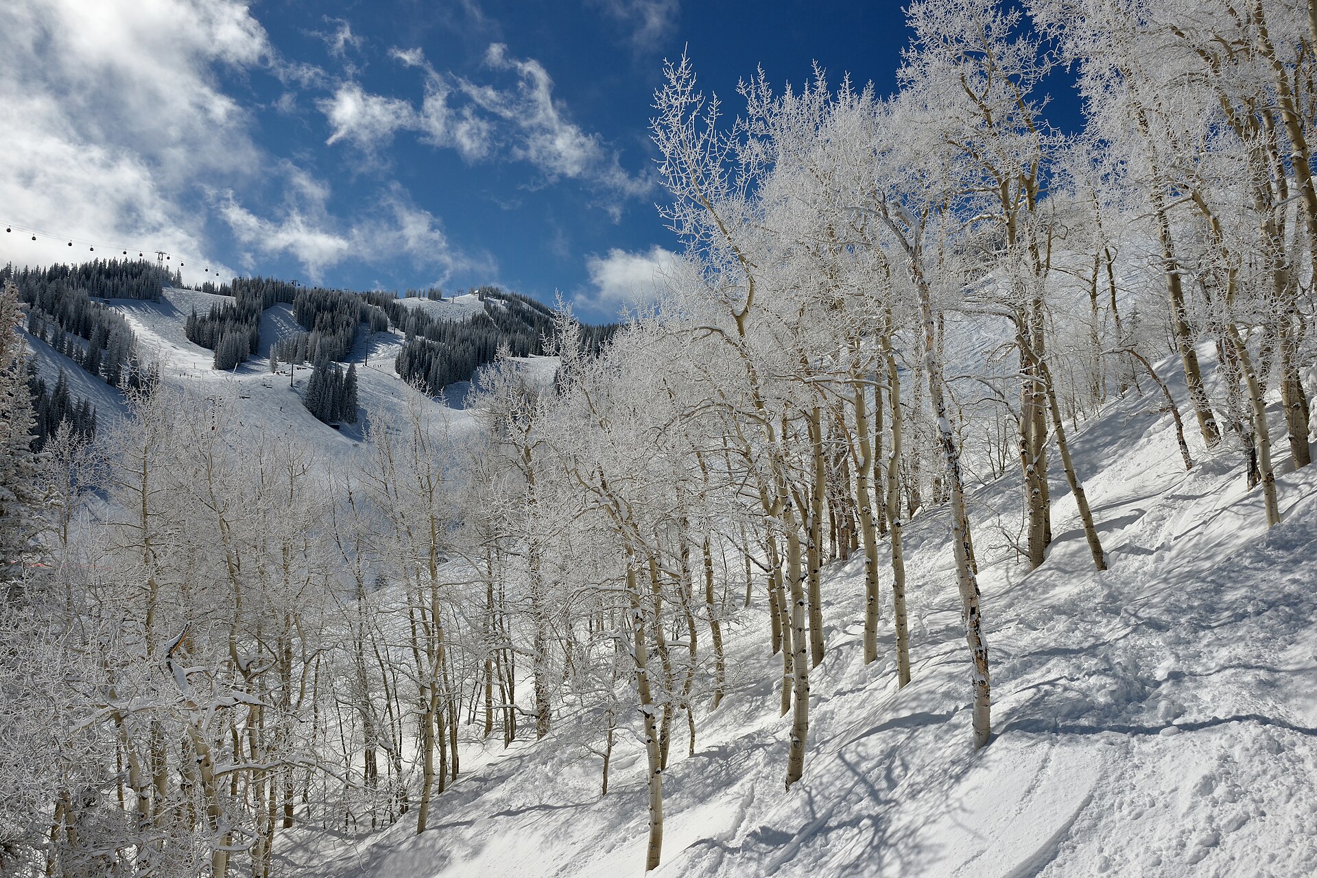 Aspen ski resort in United States