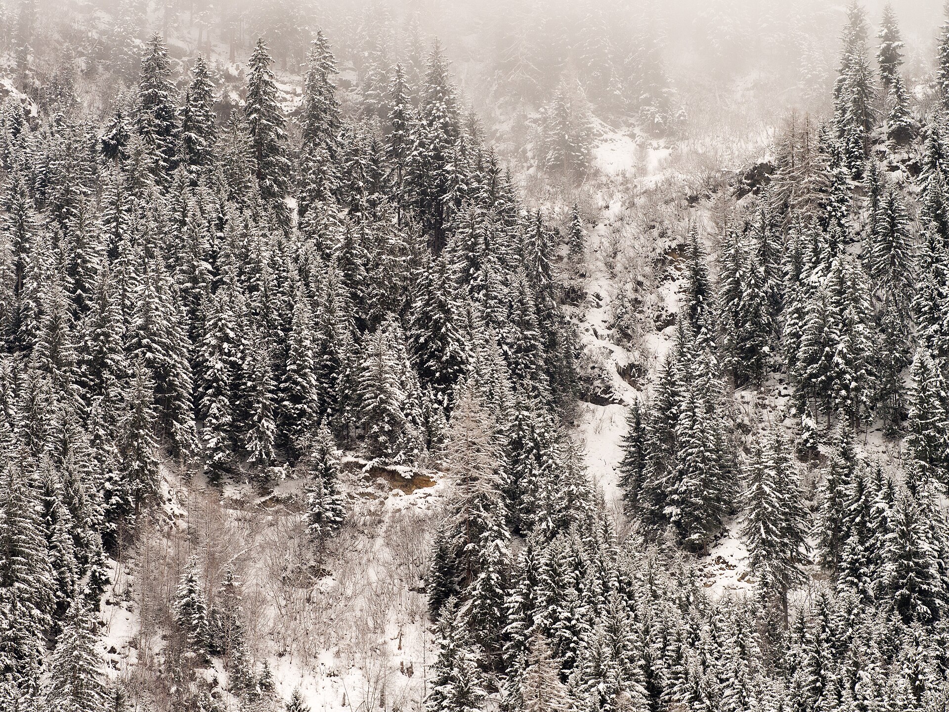 See ski resort in Austria